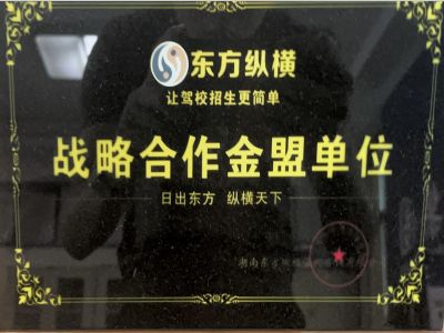 東方縱橫戰(zhàn)略合作金盟單位 東方縱橫戰(zhàn)略合作金盟單位